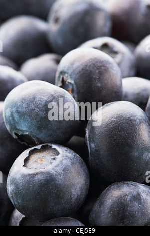 Close up of Blueberries Stock Photo