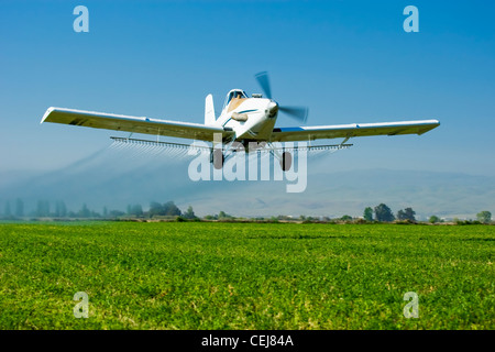 Agriculture - White crop duster flying low while spraying an alfalfa field / near Tracy, San Joaquin County, California, USA. Stock Photo