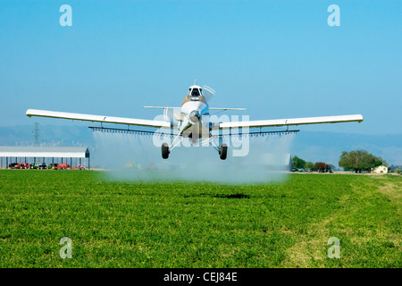 Agriculture - White crop duster flying low while spraying an alfalfa field / near Tracy, San Joaquin County, California, USA. Stock Photo