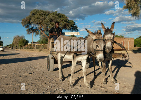 Donkey Carts on dusty Road,Kuruman,Northern Cape Stock Photo