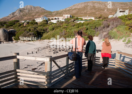 Tourists taking photos of penguins from boardwalk at Boulders Beach,Cape Town,Western Cape Province Stock Photo