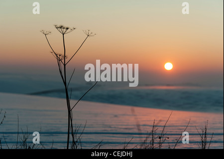 Winter sunset over snowy fields in Hertfordshire England UK Stock Photo