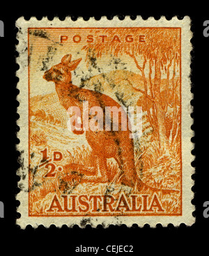 AUSTRALIA-CIRCA 1937:A stamp printed in AUSTRALIA shows image of Macropus is a marsupial genus that belongs to the family Macropodidae, it has 14 species which are further divided into 3 subgenera, circa 1937. Stock Photo