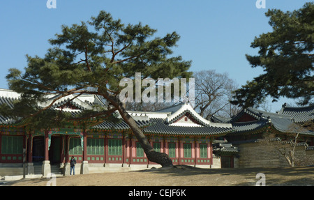 changdeok palace in seoul korea Stock Photo