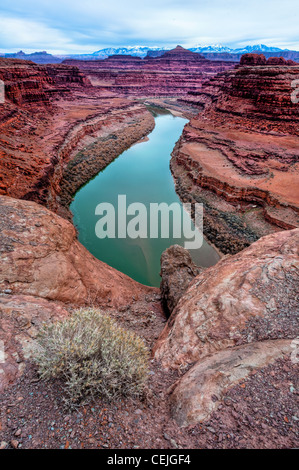 The Colorado River flowing south where it will meet the Green River in Canyonlands National Park. Utah. Stock Photo