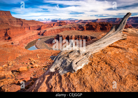 The Colorado River flowing south where it will meet the Green River in Canyonlands National Park. Utah. Stock Photo
