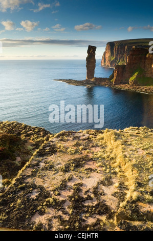 The Old Man of Hoy, Orkney Islands, Scotland. Stock Photo