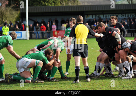 Rugby game, Wharfedale Rugby Union Football Club, North Yorkshire UK Stock Photo