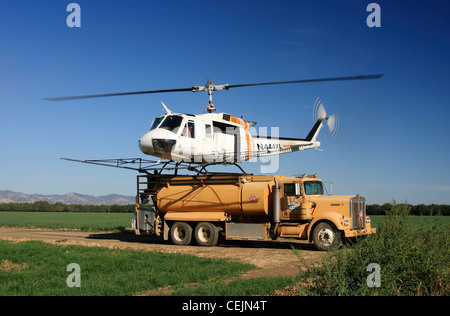 Helicopter crop duster lands on the back of a chemical truck to refill the tanks during spraying operations of a walnut orchard. Stock Photo