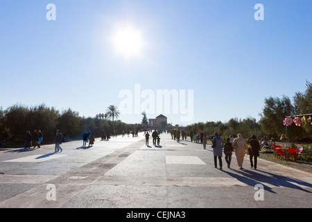 Local people taking an early evening stroll in the Menara Gardens, Marrakech, Morocco, North Africa Stock Photo