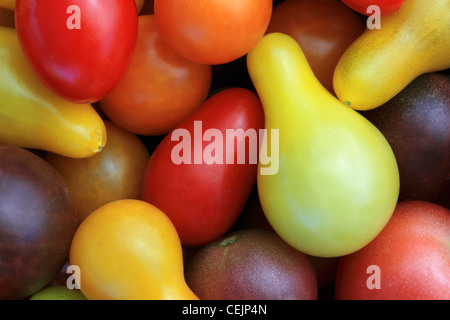 Agriculture - Closeup of a mix of organic Grape and Cherry tomatoes / California, USA. Stock Photo