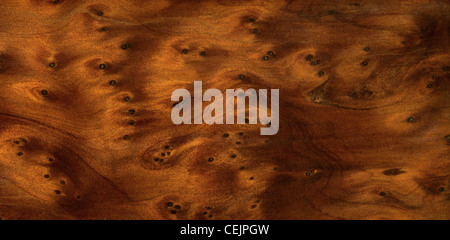 full frame abstract burl wood background Stock Photo