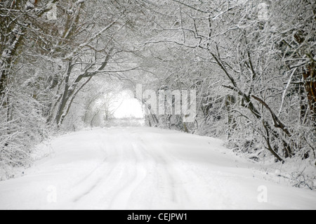 Snow scene weather narrow country road lane after snowfall below tunnel of snow covered trees in winter wonderland Brentwood Essex England UK Stock Photo
