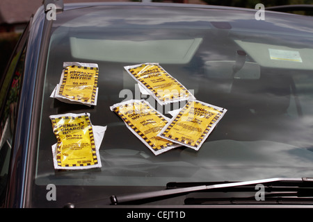 Five Penalty Charge Notices on one car Stock Photo