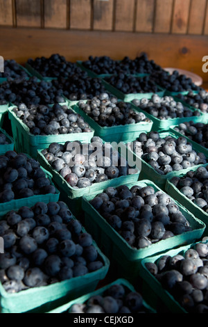 Agriculture - Fresh blueberries in containers at a country farmstand / Little Compton, Rhode Island, USA. Stock Photo