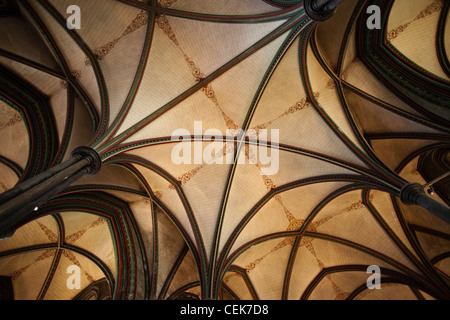 England, Wiltshire, Salisbury Cathedral, Trinity Chapel Roof Stock Photo