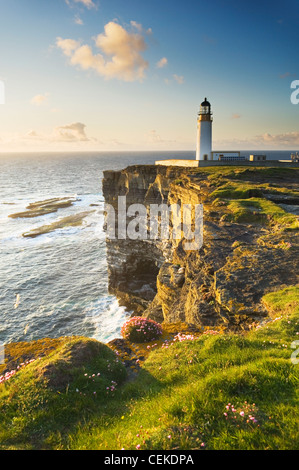 Noup Head seabird cliffs on the island of Westray, Orkney Islands, Scotland. Stock Photo