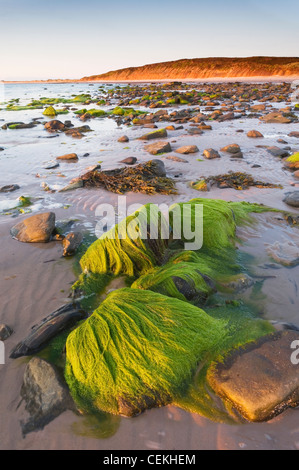 The Sands of Mussetter at sunset, on the island of Eday, Orkney Islands, Scotland. Stock Photo