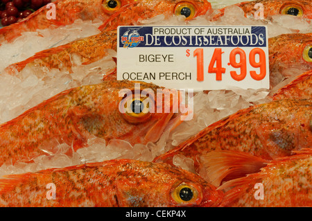 Fresh seafood produce in Sydney Fish Market in Sydney Australia Stock Photo