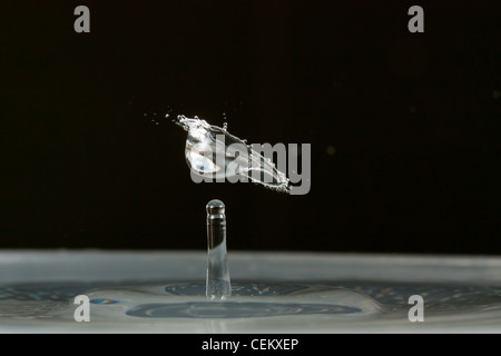 Water drop falling and colliding with another one Stock Photo