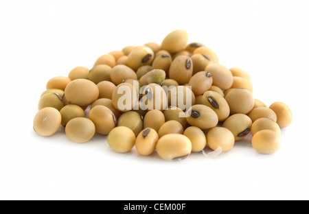 close up of soy beans in isolated white background Stock Photo