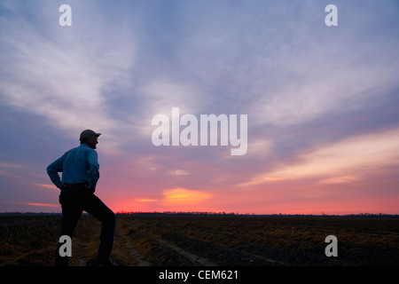 Agriculture - A farmer (grower) looks out across his field at sunrise / Eastern Arkansas, USA. Stock Photo