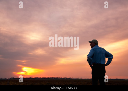 Agriculture - A farmer (grower) looks out across his field at sunrise / Eastern Arkansas, USA. Stock Photo