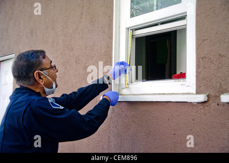 Wearing a mask to avoid contaminating the area, a Pakistani-American police crime scene investigator dusts for print evidence. Stock Photo