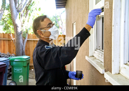 Wearing a mask to avoid contaminating the area, a Pakistani-American police crime scene investigator dusts for print evidence. Stock Photo