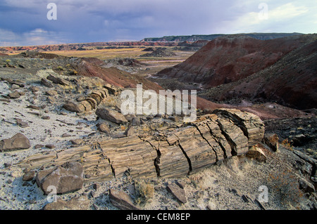 Petrified trees exposed by erosion in Black Forest part of the Painted Desert at Petrified Forest National Park, Arizona, USA Stock Photo