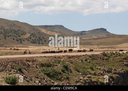 New Highway and road construction, Bale Mountains, Ethiopia. China providing means to build easier access for vehicular traffic. Stock Photo