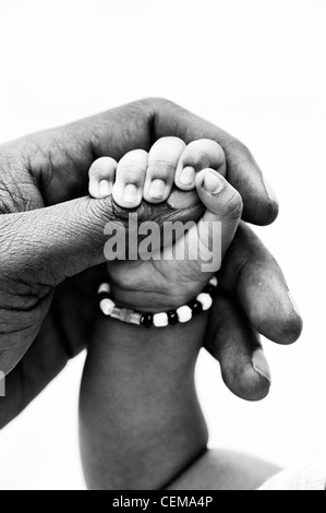 Indian mans hand holding his new born babies hand white background. Monochrome. Andhra Pradesh, India Stock Photo