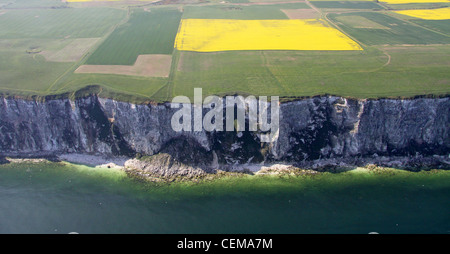 Aerial image of East Coast of Yorkshire cliffs & beach Stock Photo