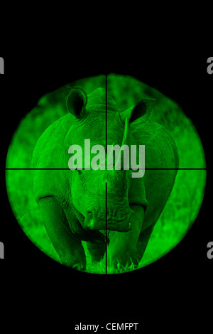 White Rhinoceros seen through a hunting rifle sight (illustration). Stock Photo