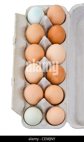 A dozen carton of fresh organic free range chicken eggs Stock Photo