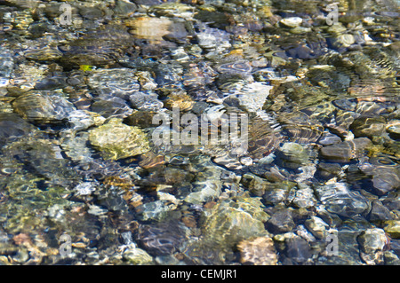 Rippled background showing pebbles through clear water