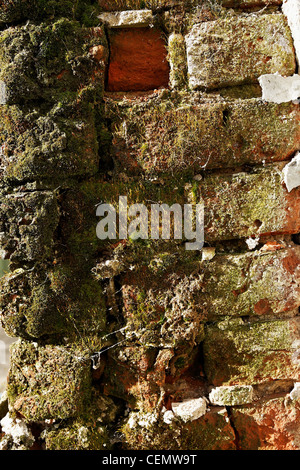 A close up of a decaying brick wall Stock Photo