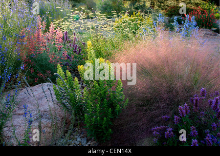 Xeriscape perennial flower bed Stock Photo