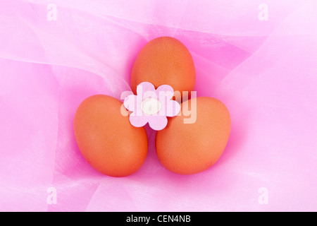 Easter chicken eggs and flower over pink fabric in closeup Stock Photo
