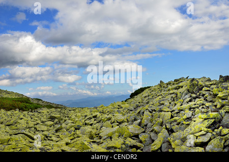 Mossy moraine in the Carpathian mountains. Stock Photo