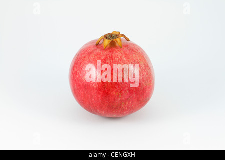 Whole Pomegranate, Punica granatum, fruit on white background. Stock Photo