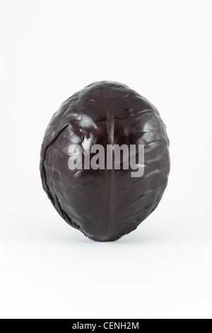 Whole red cabbage, Brassica oleracea, vegetable on white background. Stock Photo