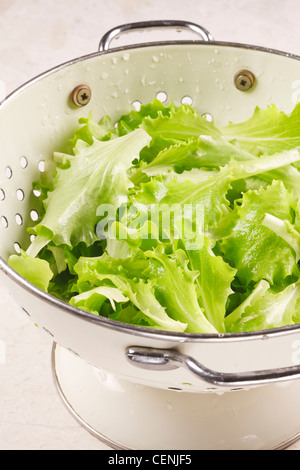 Lettuce in colander Stock Photo
