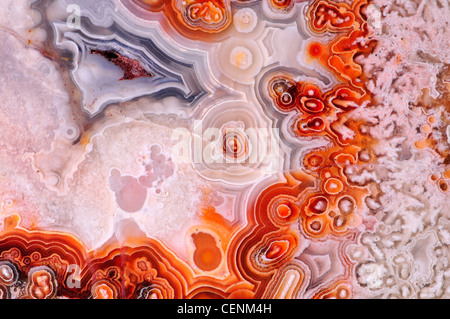 Polished slice of Jasper (opaque, fine-grained form of chalcedony) Stock Photo