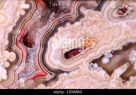 Polished slice of Jasper (opaque, fine-grained form of chalcedony) showing agate and white quartz crystals Stock Photo