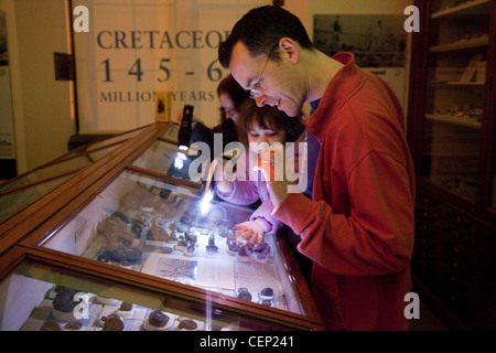 family looking a fossils, Sedgwick museum of Earth Sciences Cambridge UK Stock Photo