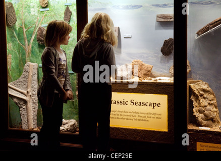 Children looking at Fossils, learning about science, Sedgwick Earth Sciences Museum, Cambridge UK Stock Photo