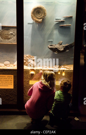 Children looking at Fossils, learning about science, Sedgwick Earth Sciences Museum, Cambridge UK Stock Photo