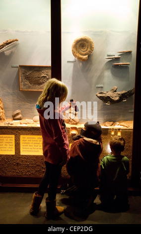 Children looking at Fossils, learning about science, Sedgwick Earth Sciences Museum, Cambridge UK Stock Photo