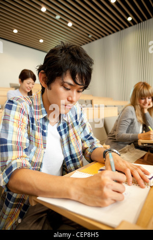 University students studying in lecture theater Stock Photo